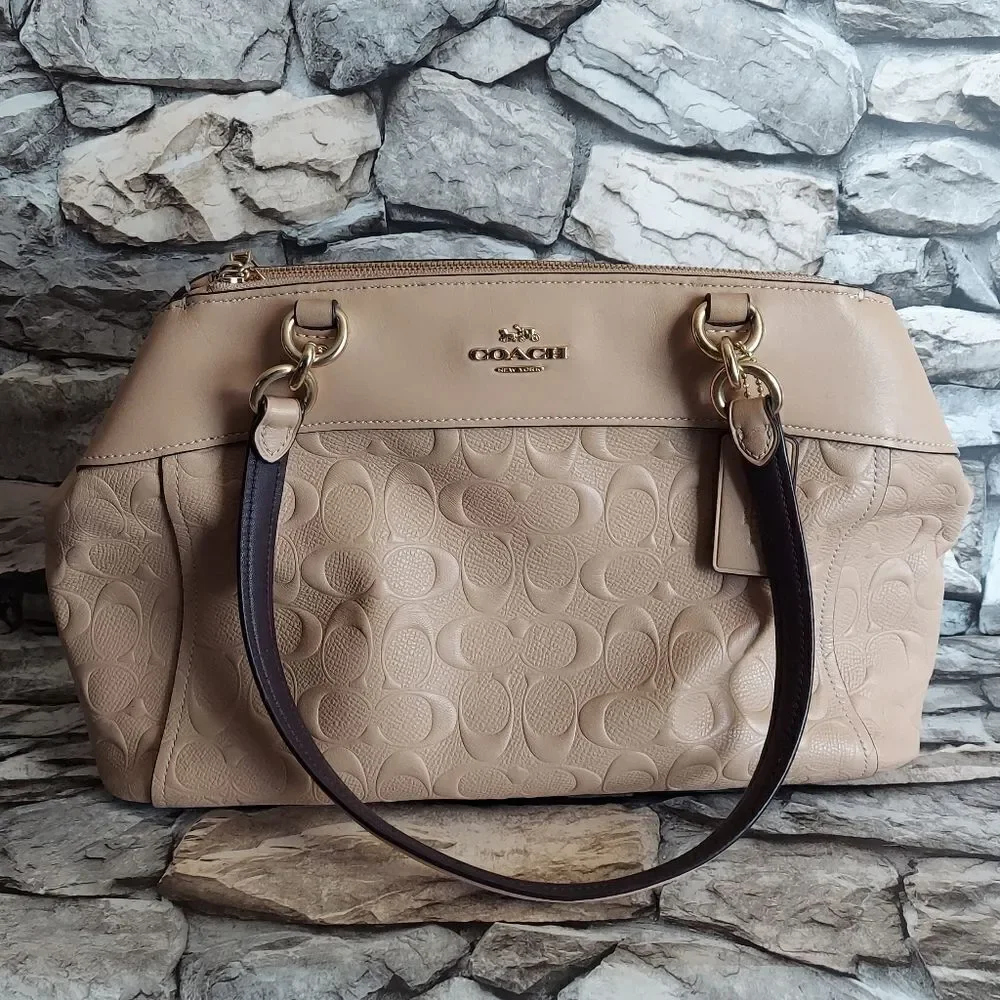 BROOKE CARRYALL IN SIGNATURE LEATHER (COACH F25952)